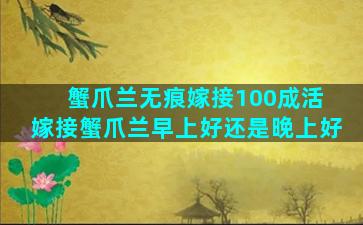 蟹爪兰无痕嫁接100成活 嫁接蟹爪兰早上好还是晚上好